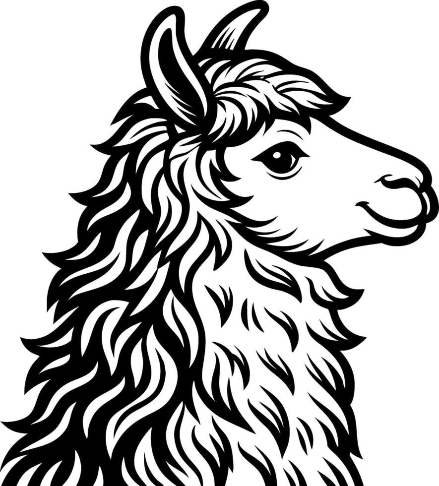 Detailed Llama Head Illustration for Tattoo Design and Coloring Book Projects vector