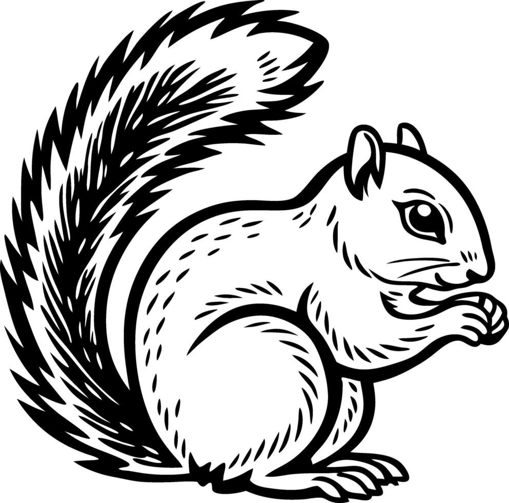 Playful Squirrel Graphic Illustration for Nature Themes and Coloring Activities vector