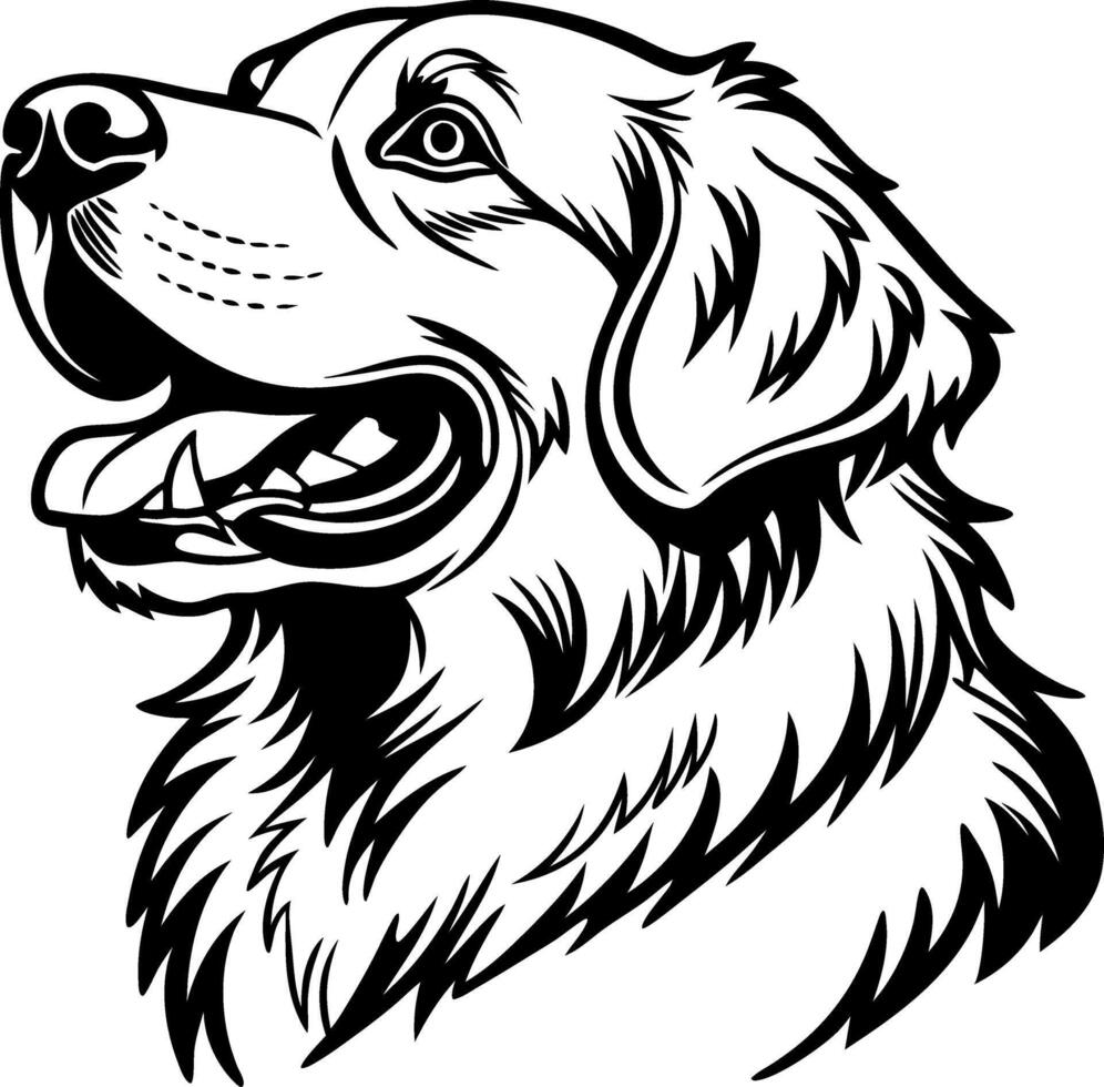 Detailed Black and White Illustration of a Golden Retriever Dog Head for Design Projects vector