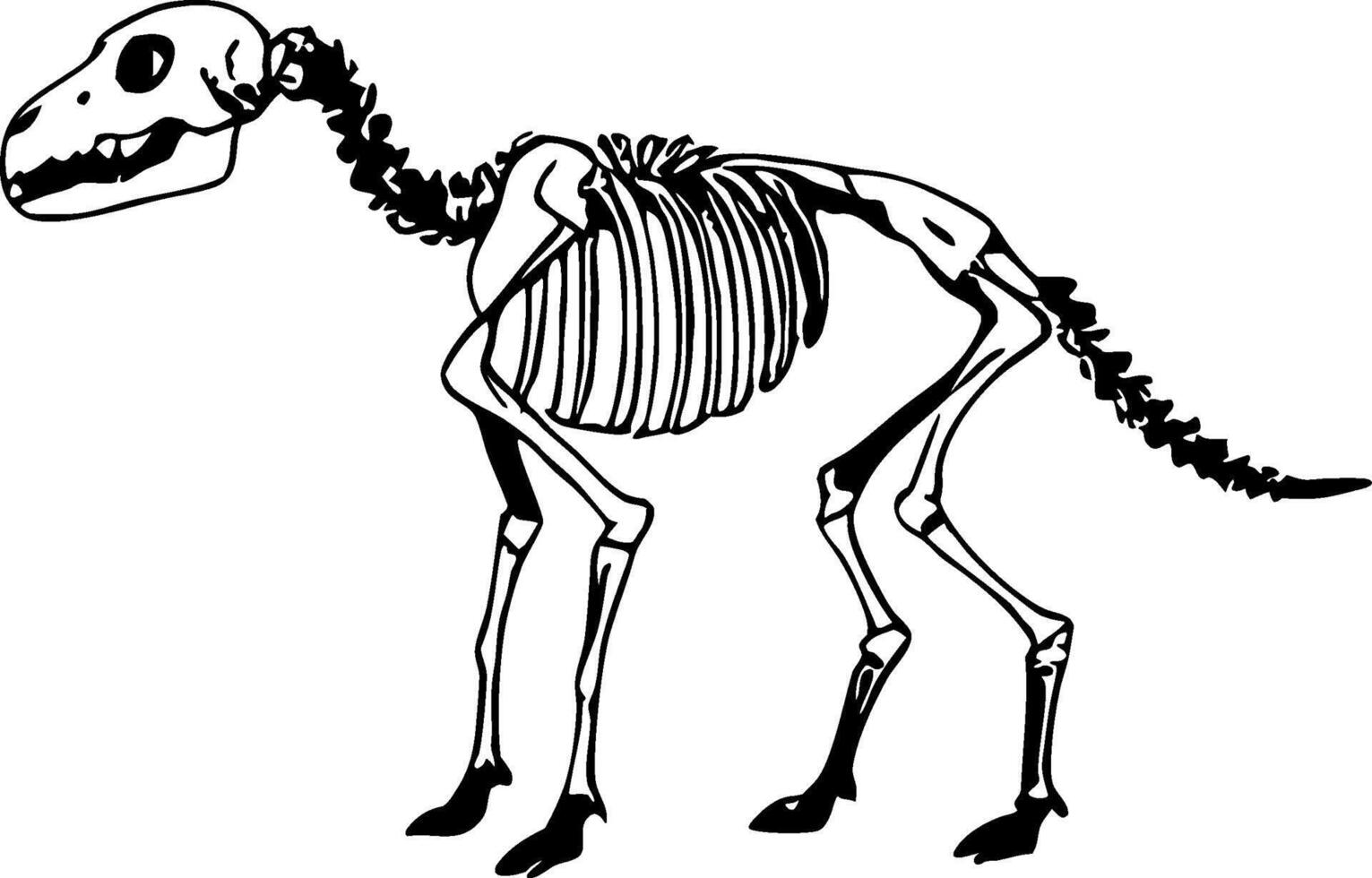 Detailed Dinosaur Skeleton Illustration for Educational Purposes Tattoo Designs and Coloring Books vector