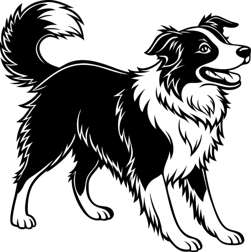 Playful Collie Dog Illustration Ideal for Tattoo Design and Coloring Pages vector