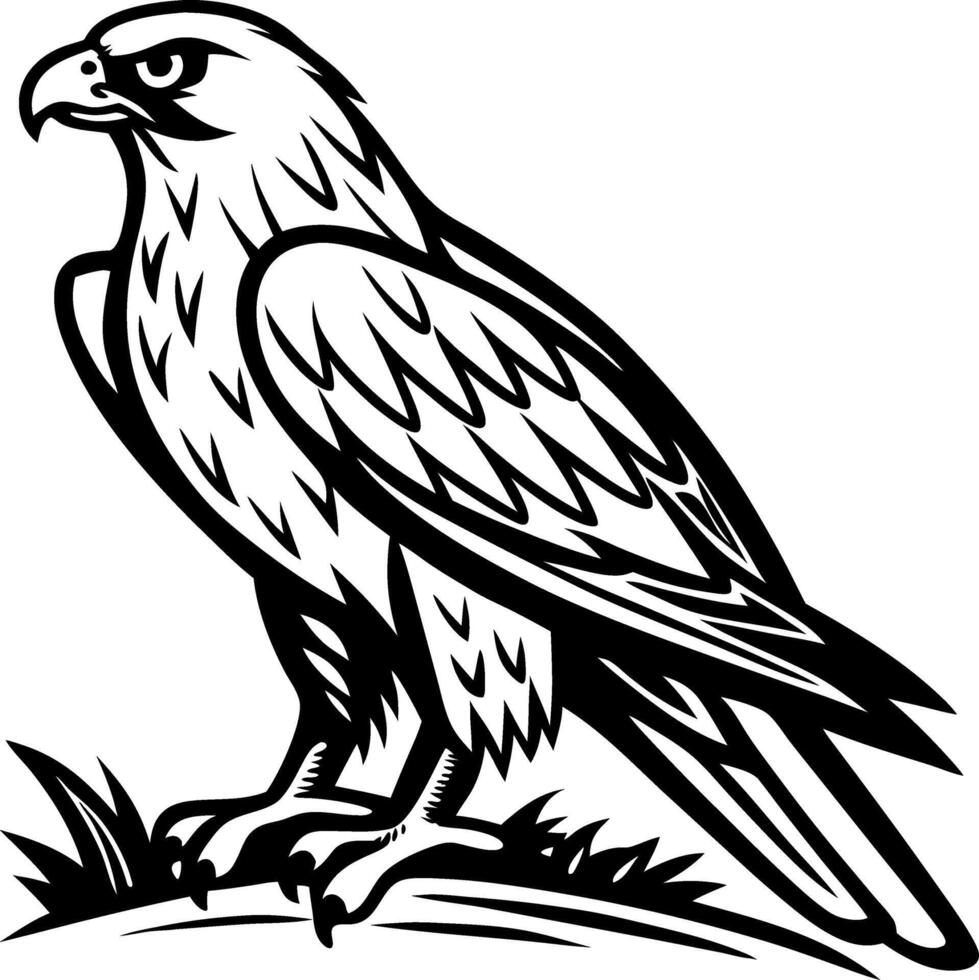 Elegant Falcon Design for Tattoo Inspiration and Coloring Book Art vector