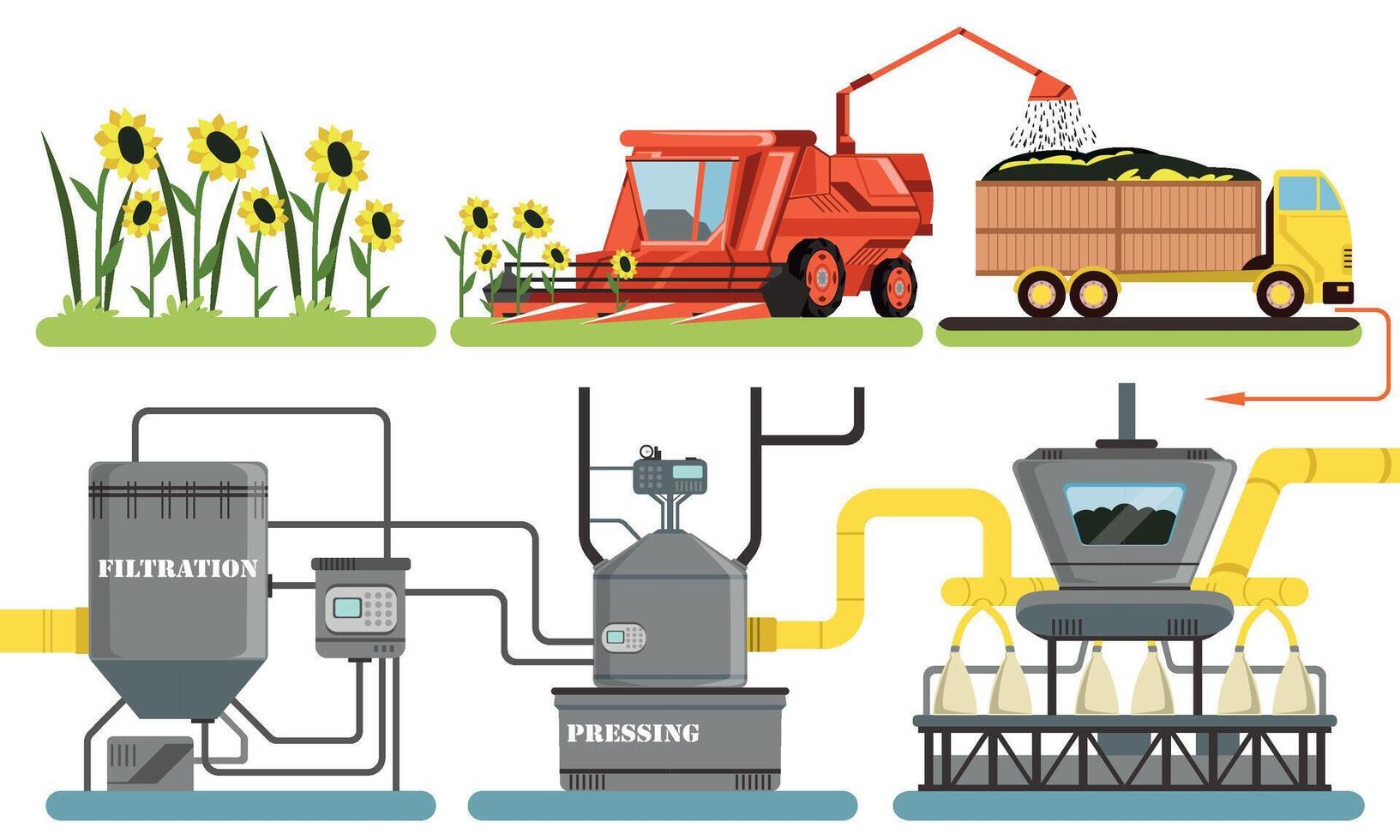 Sunflower Oil Production Process, Harvesting, Filtration, Pressing Automated Line Illustration vector