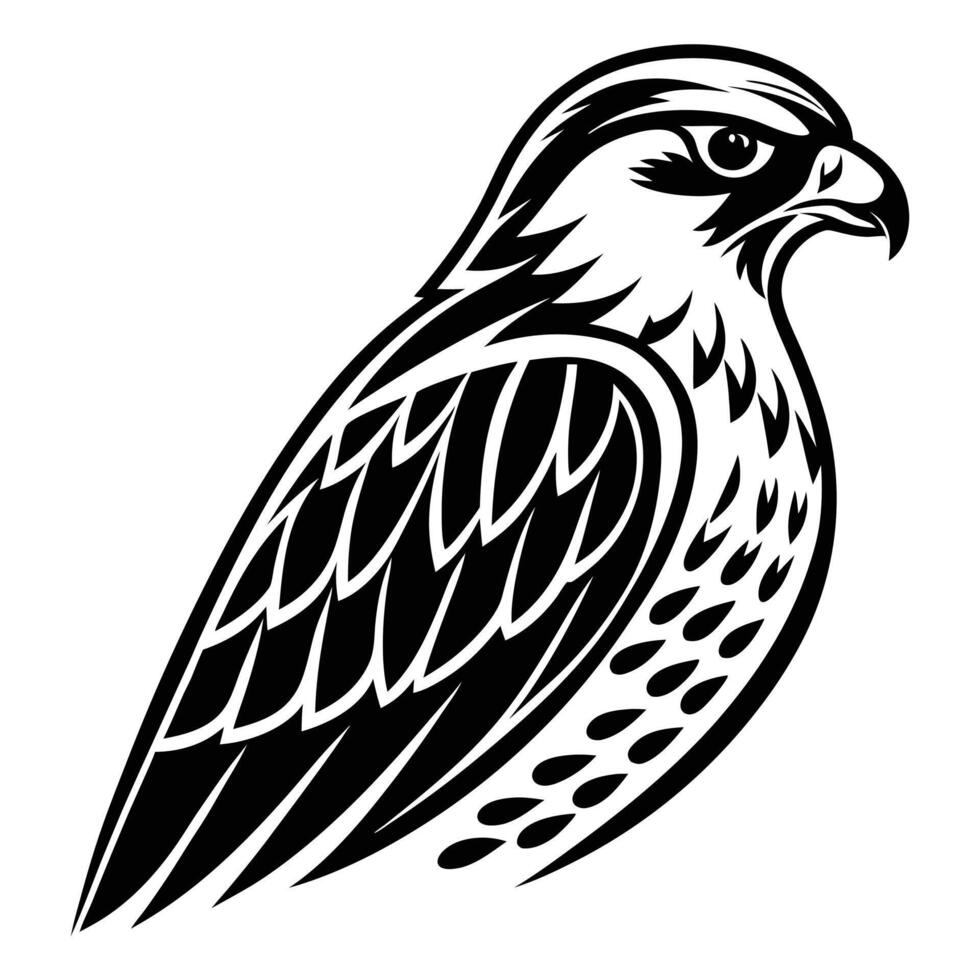 Fierce Falcon Bird Outline Minimalist Wildlife Icon vector