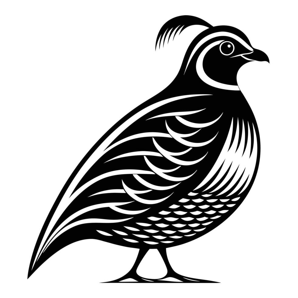 Minimalist Quail Silhouette for Wildlife and Nature Designs vector