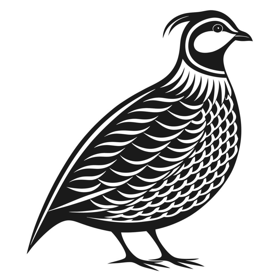 Elegant Quail Silhouette Black and White Nature Icon vector
