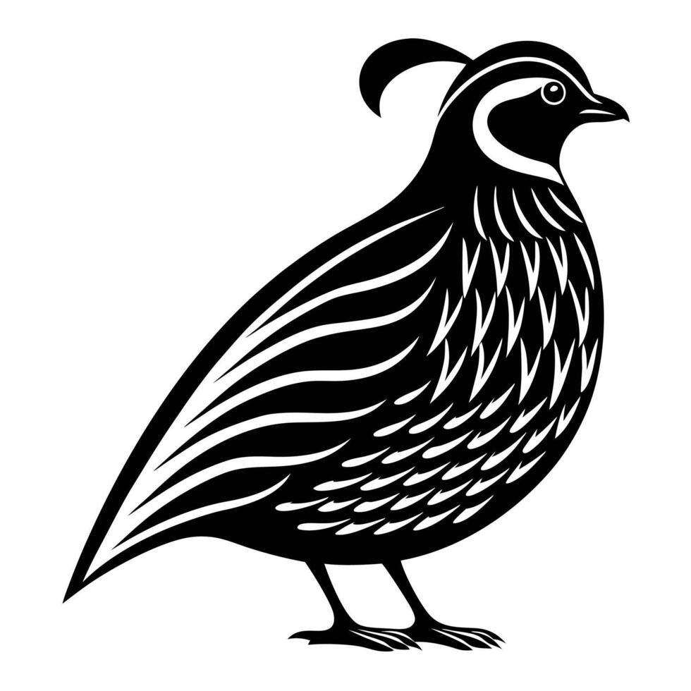 Simple and Elegant Quail Silhouette Nature-Inspired Art vector