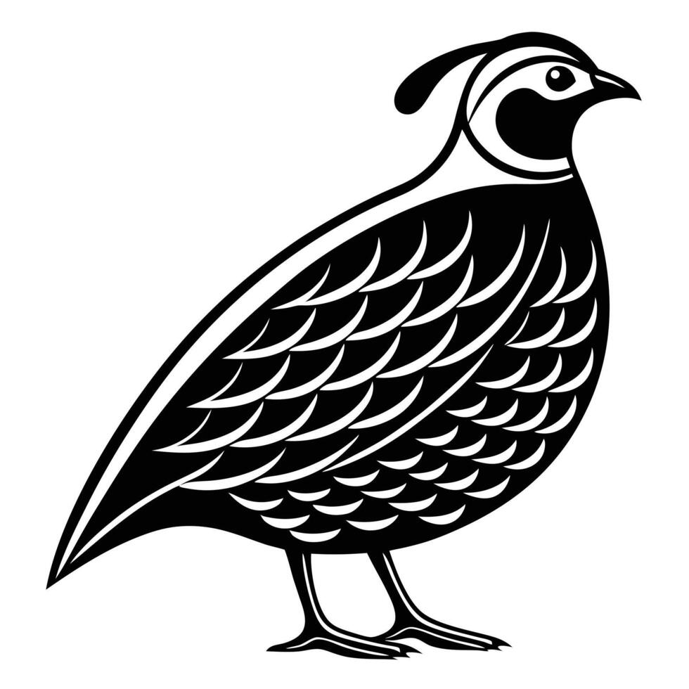Quail Bird Silhouette Elegant Minimalist Nature Illustration vector