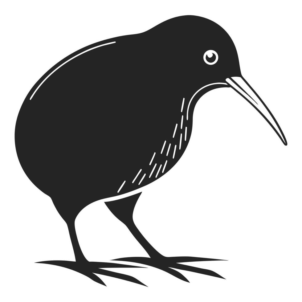 Stylized Kiwi Bird Silhouette with Natural Elegance vector