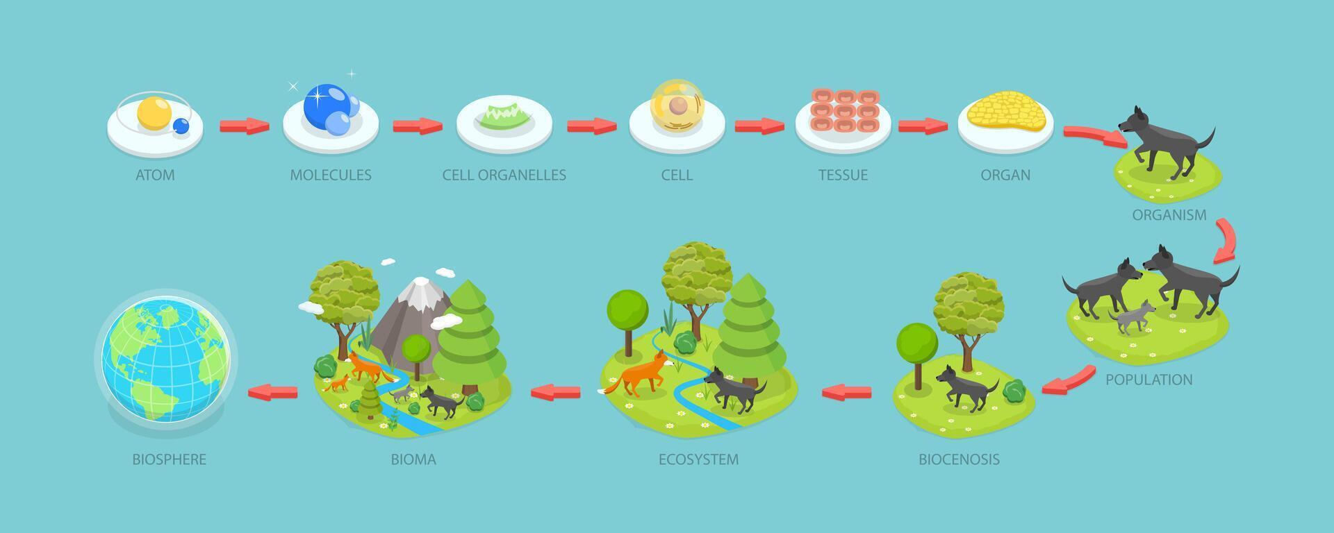 3D Isometric Flat Conceptual Illustration of Living World Biosphere, Labeled Ecosystem Explanation Scheme Outline vector