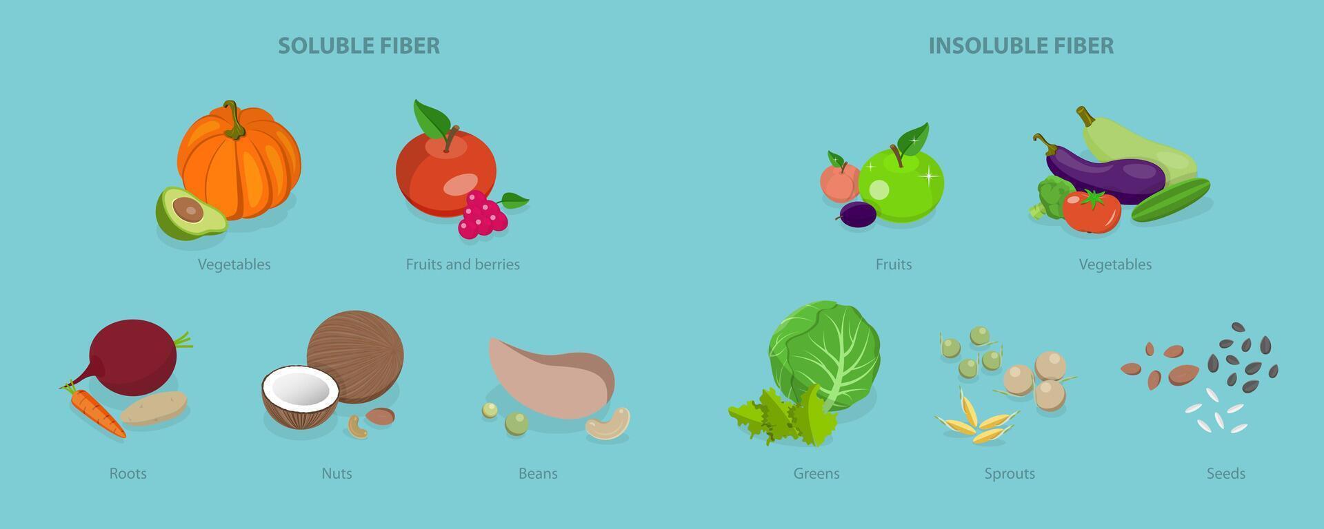 3D Isometric Flat Icon of Fiber Sources, Nutrition and Healthy Eating vector