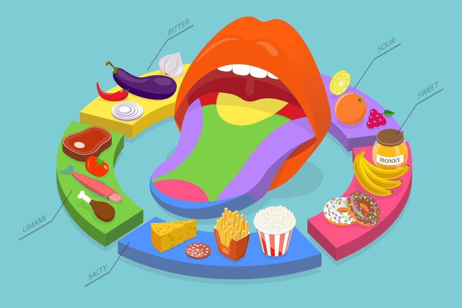 3D Isometric Flat Conceptual Illustration of Human Five Tastes, Tongue Receptor Zones vector