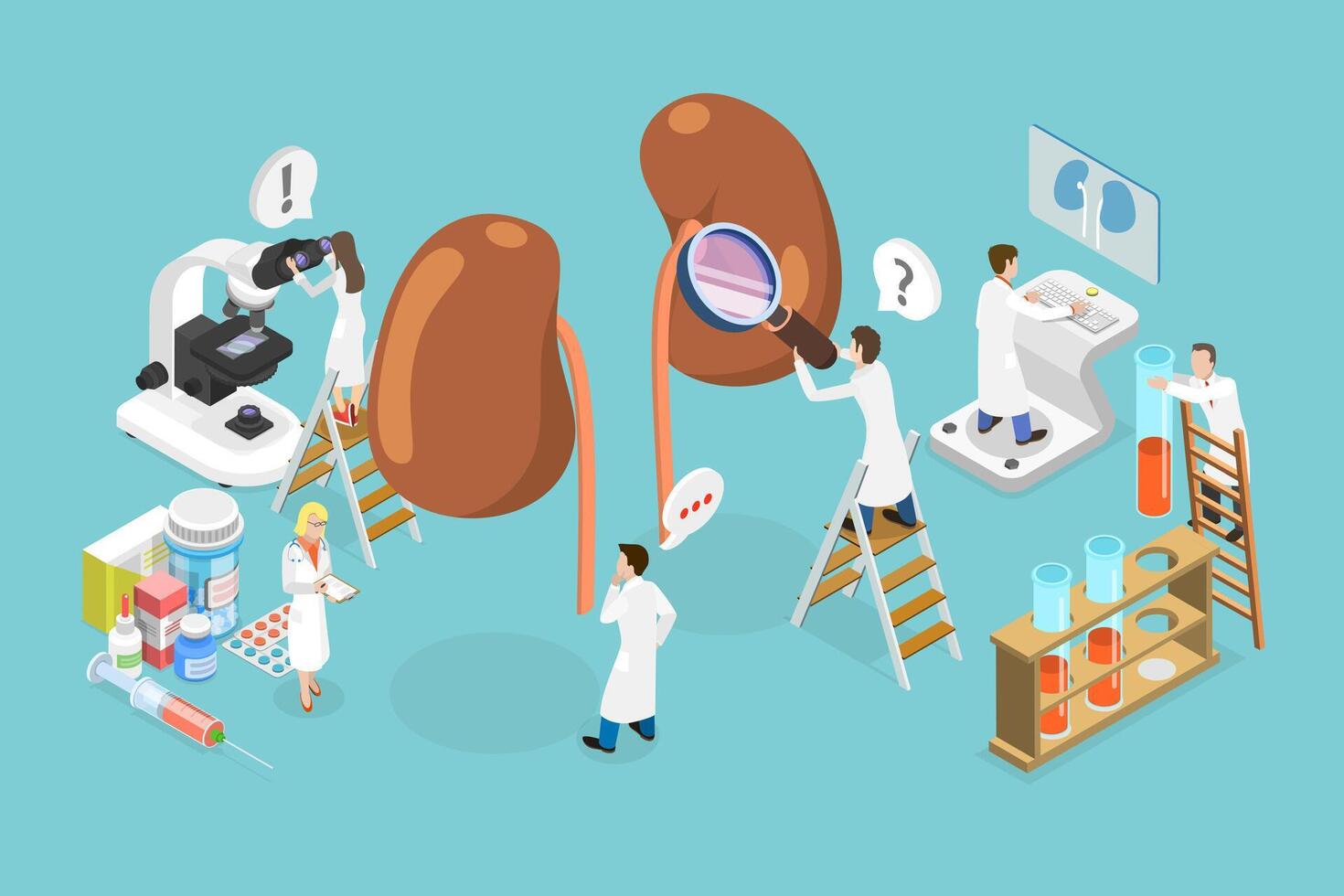 3D Isometric Flat Conceptual Illustration of Urology and Nephrology, Kidney Healthcare vector