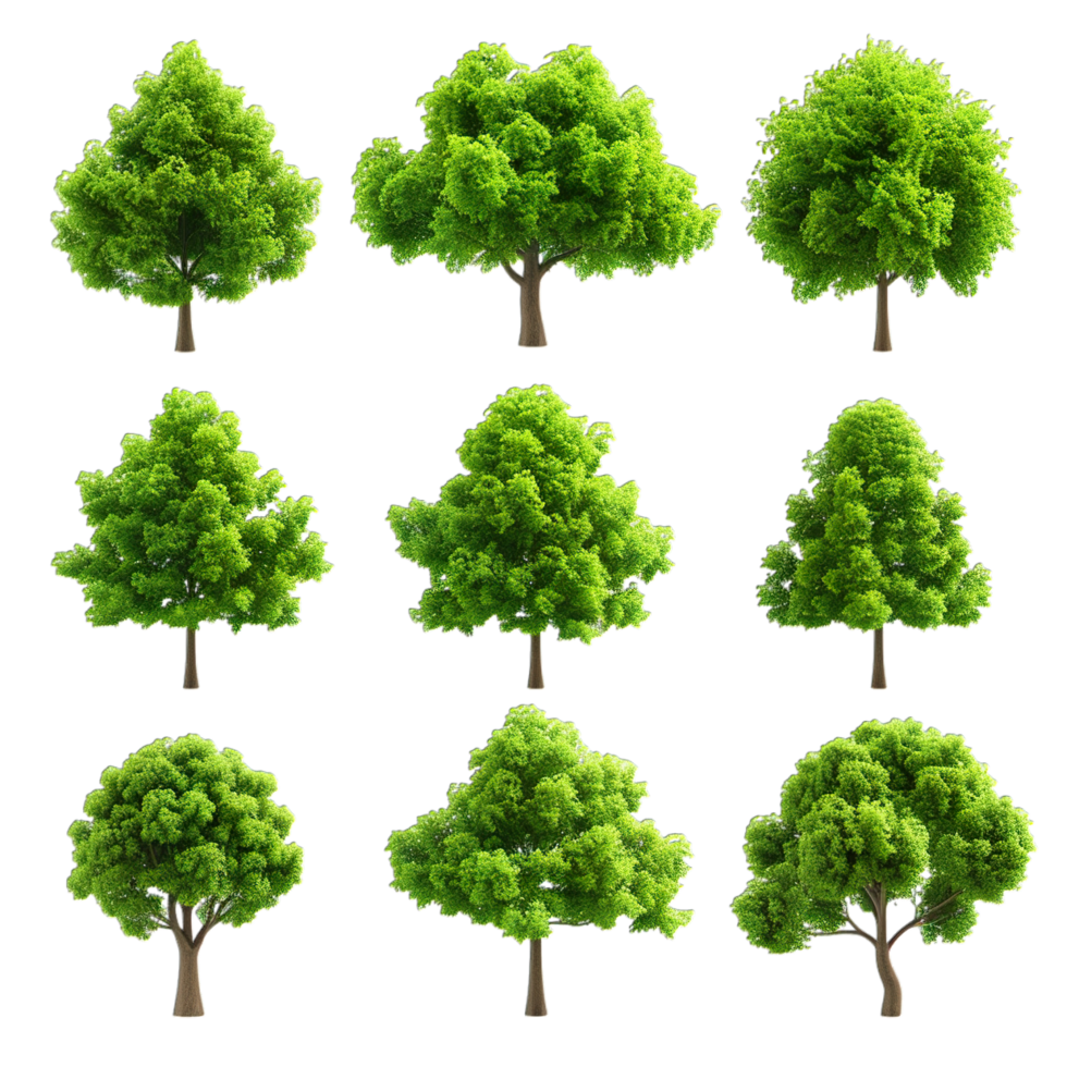 A set of trees with different sizes and shapes png