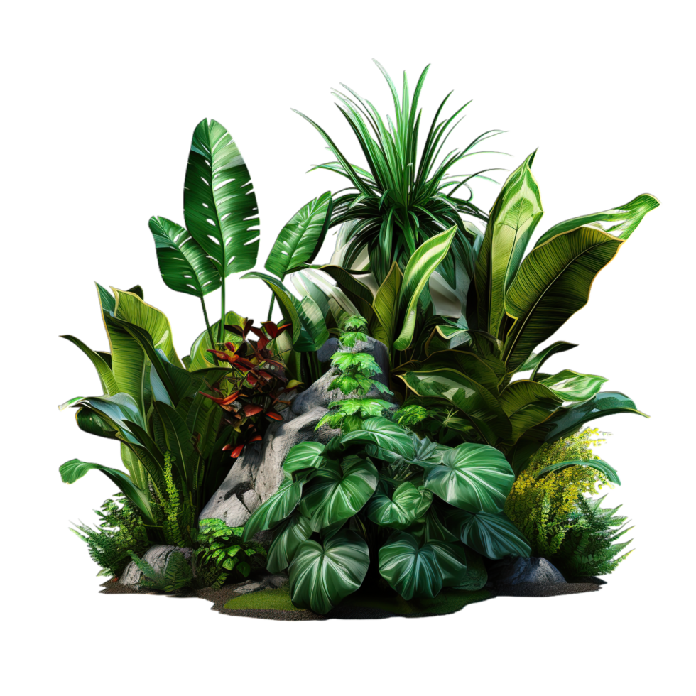A group of plants and rocks in a bush png