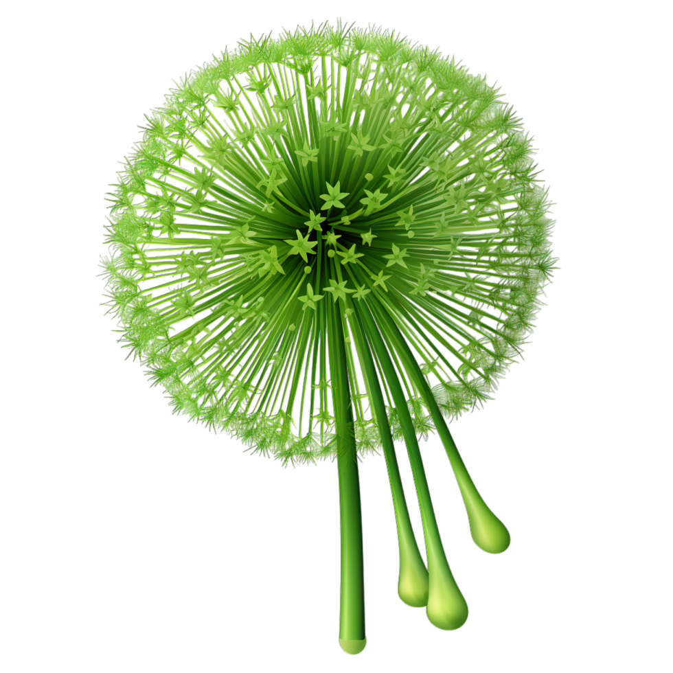 A green dandelion with many seeds on it png