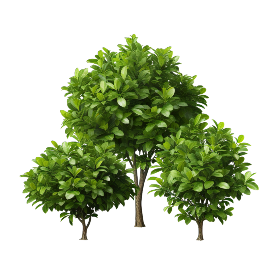 Three green trees on a black background png