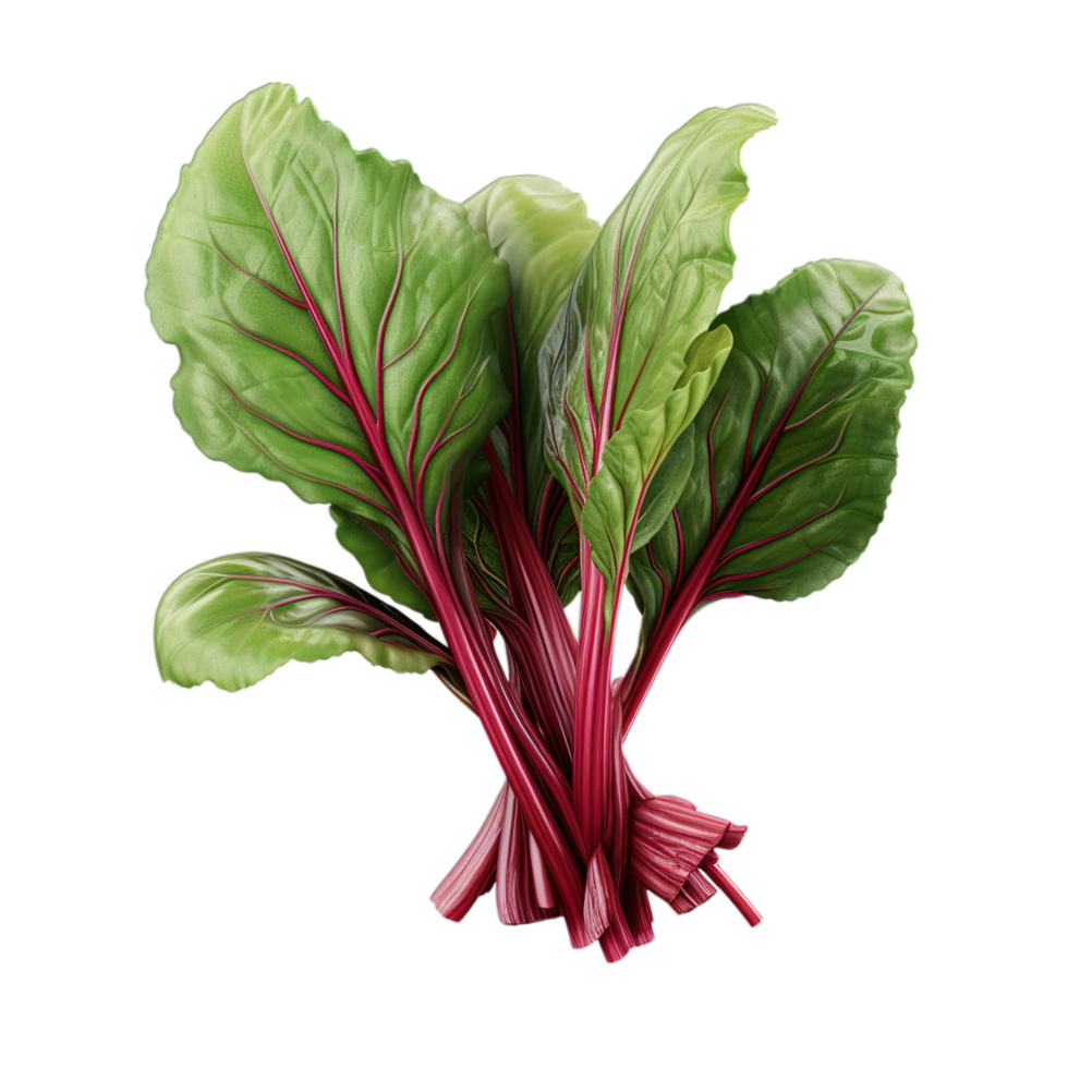 A bunch of red and green leaves on a black background png