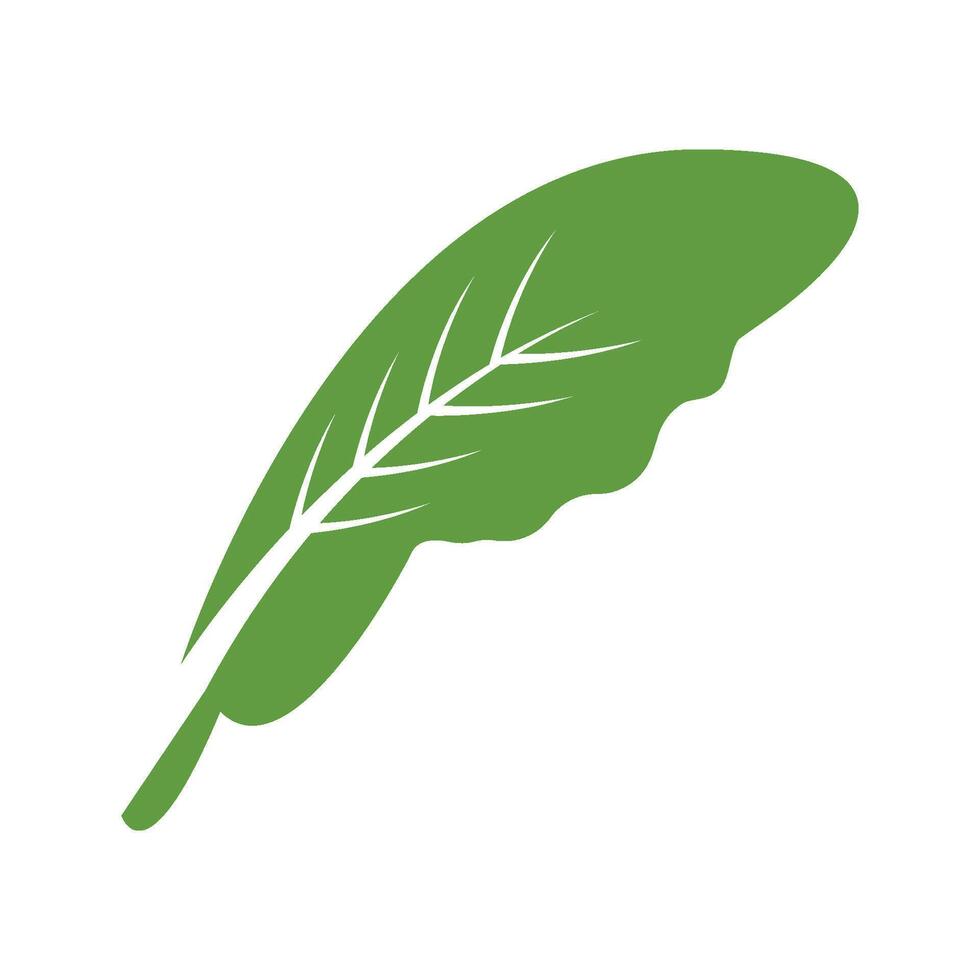 Green leaf Ecology growth vector