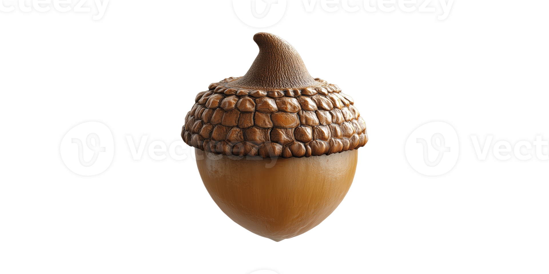 Acorn. Symbol Of Growth, Potential, And Nature Cycle Isolated On Transparent Background png