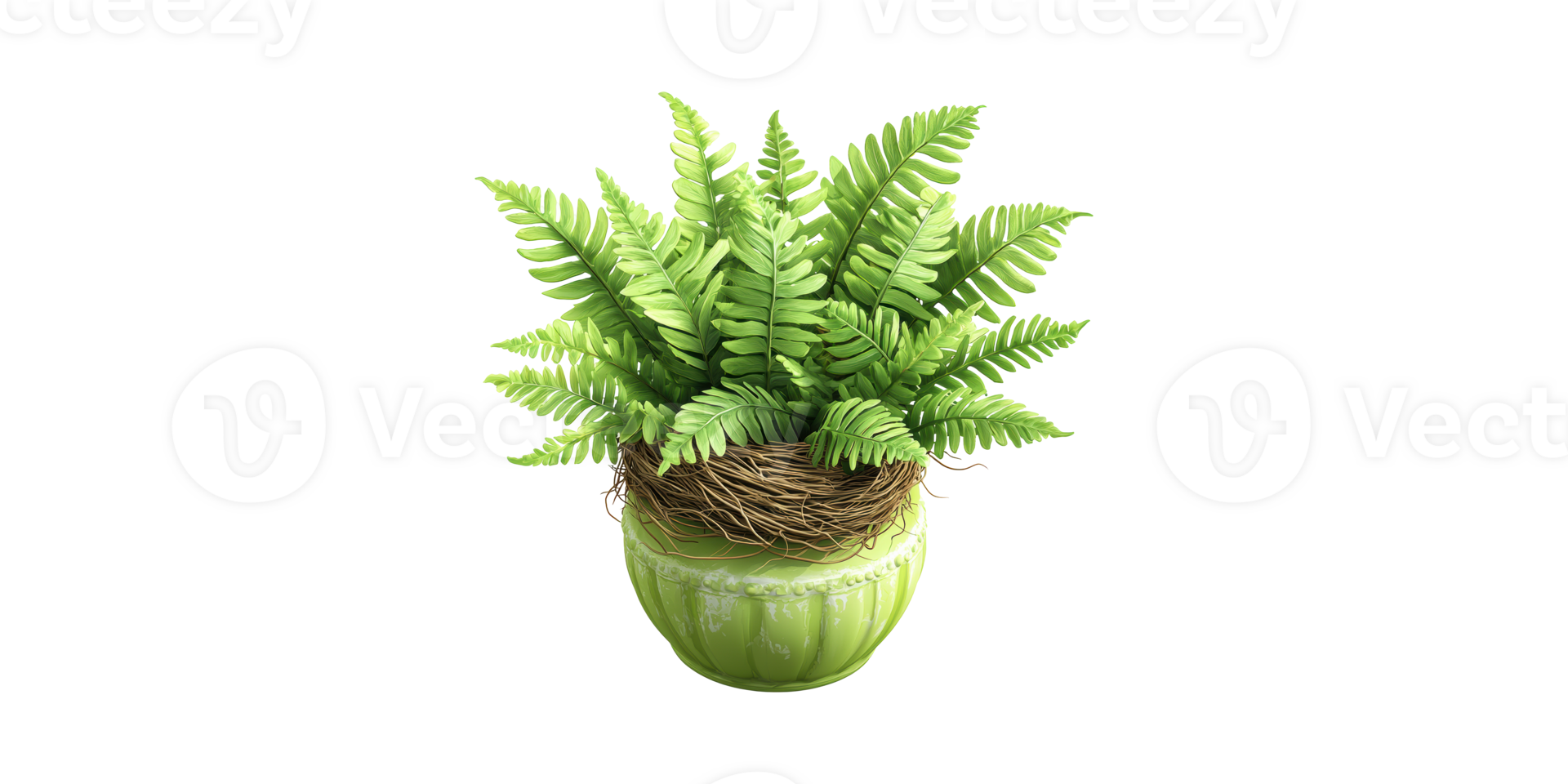 Green Fern Plant In Decorative Pot With Nest. Indoor Decor And Natural Aesthetic Isolated On Transparent Background png