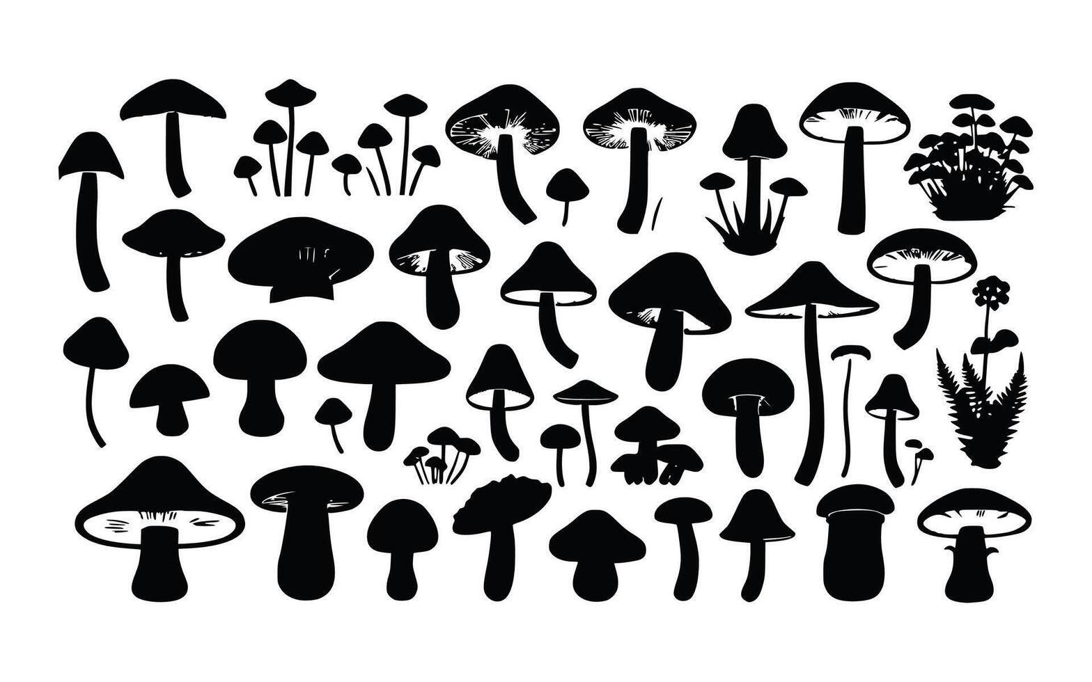 illustrations showcasing different types of edible mushrooms. vector