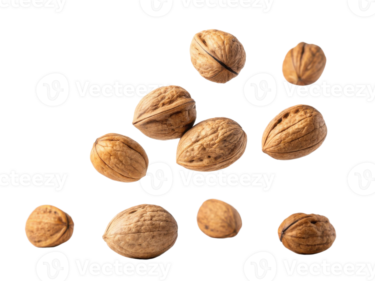 Nuts are scattered on transparency background, showcasing their textured shells and natural colors, evoking sense of organic beauty and health png