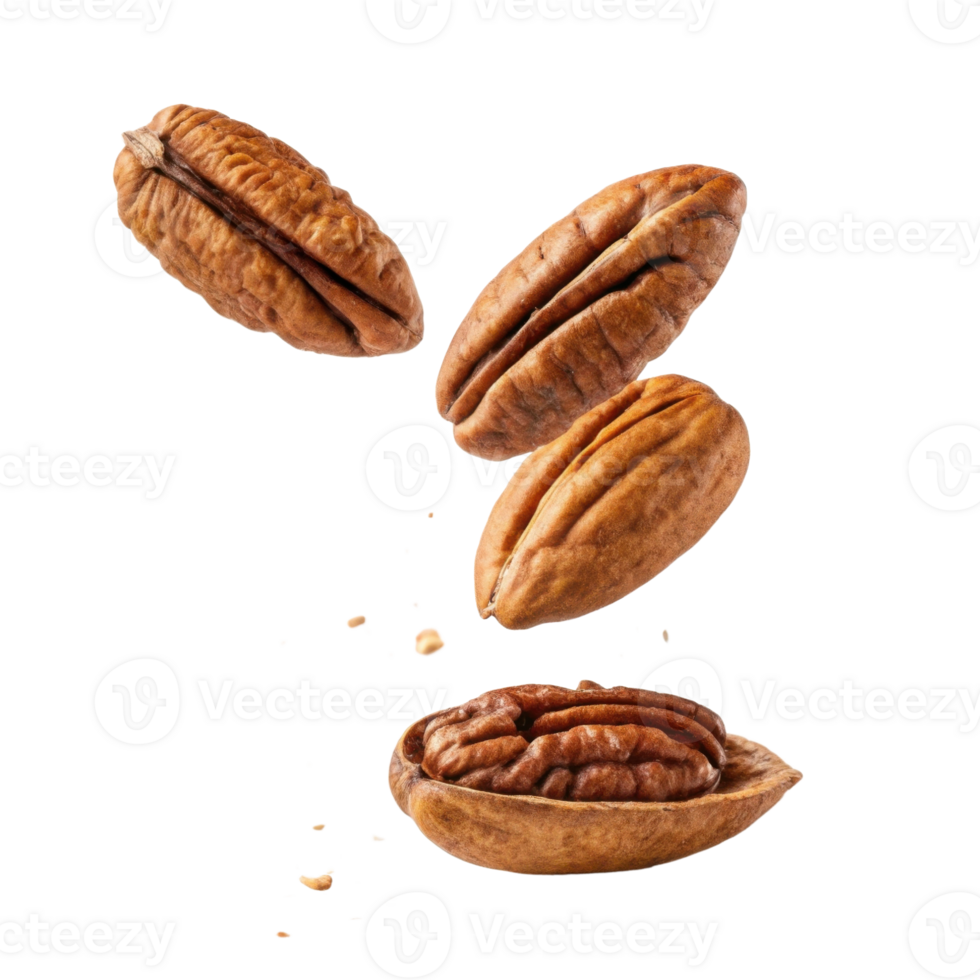 Pecans are delicious nuts that are often used in desserts and snacks, showcasing their rich texture and flavor png