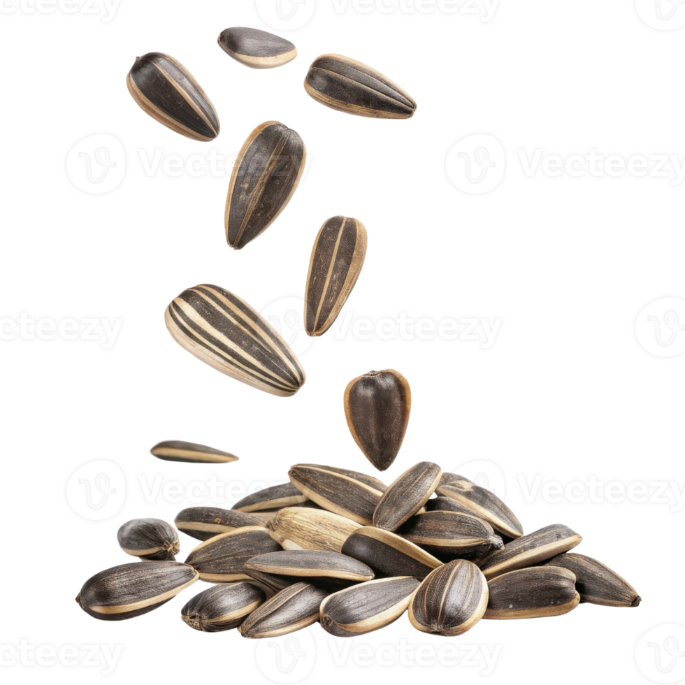 Sunflower seeds falling from above onto pile, showcasing their unique shapes and striped patterns, creating dynamic and appetizing scene png