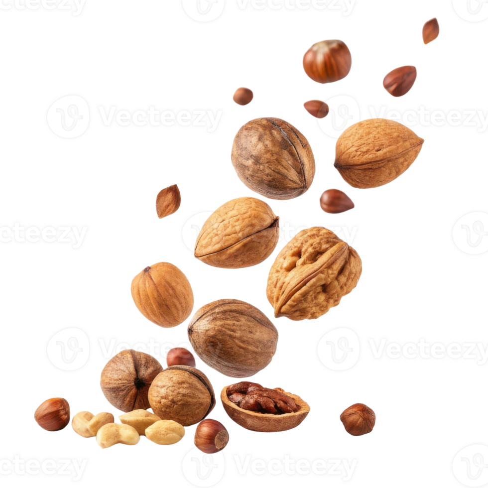 variety of nuts including walnuts, hazelnuts, and pecans are beautifully arranged in mid air, showcasing their natural textures and colors png