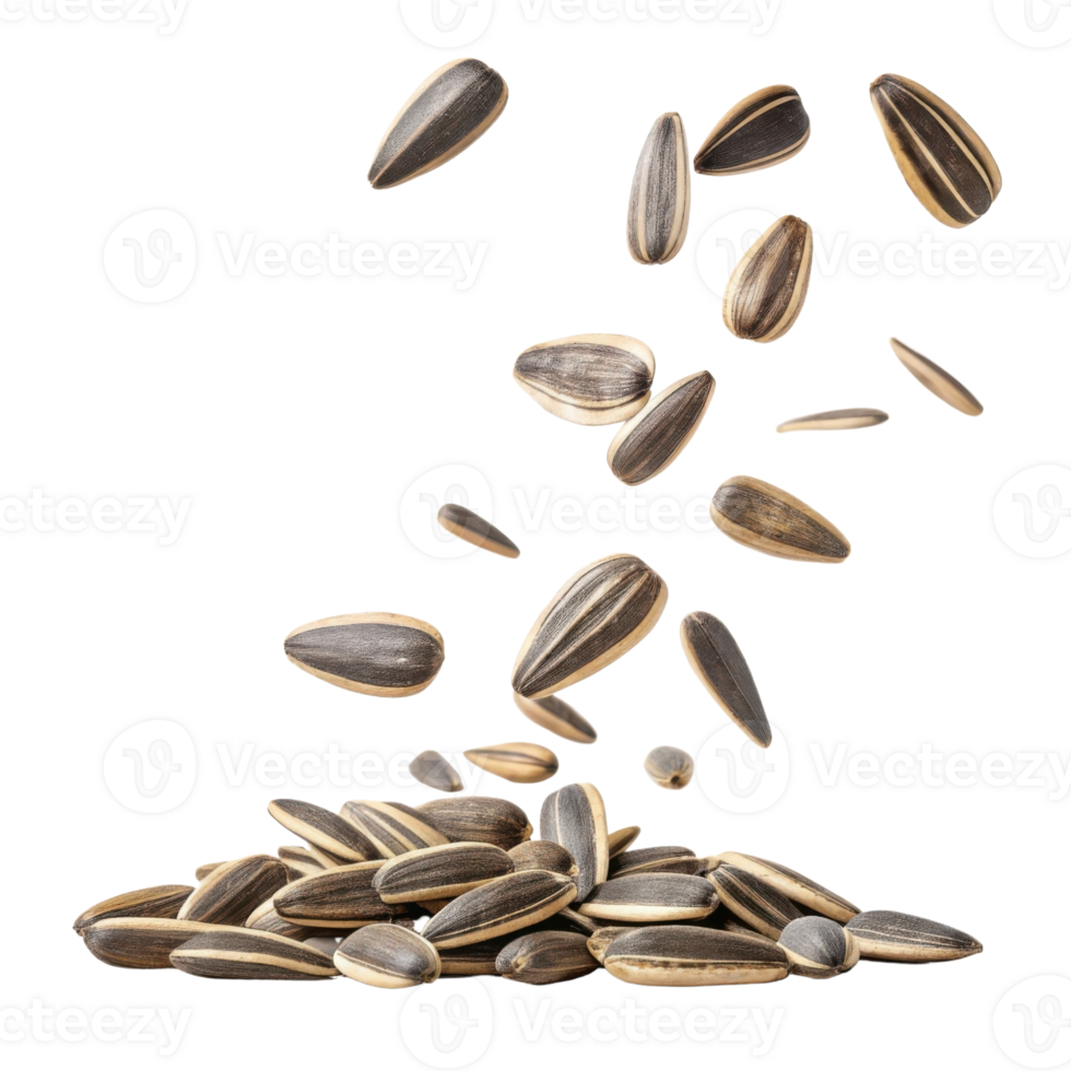 Sunflower seeds scattered in mid air, showcasing their unique shapes and textures, evoke sense of natural beauty and simplicity png