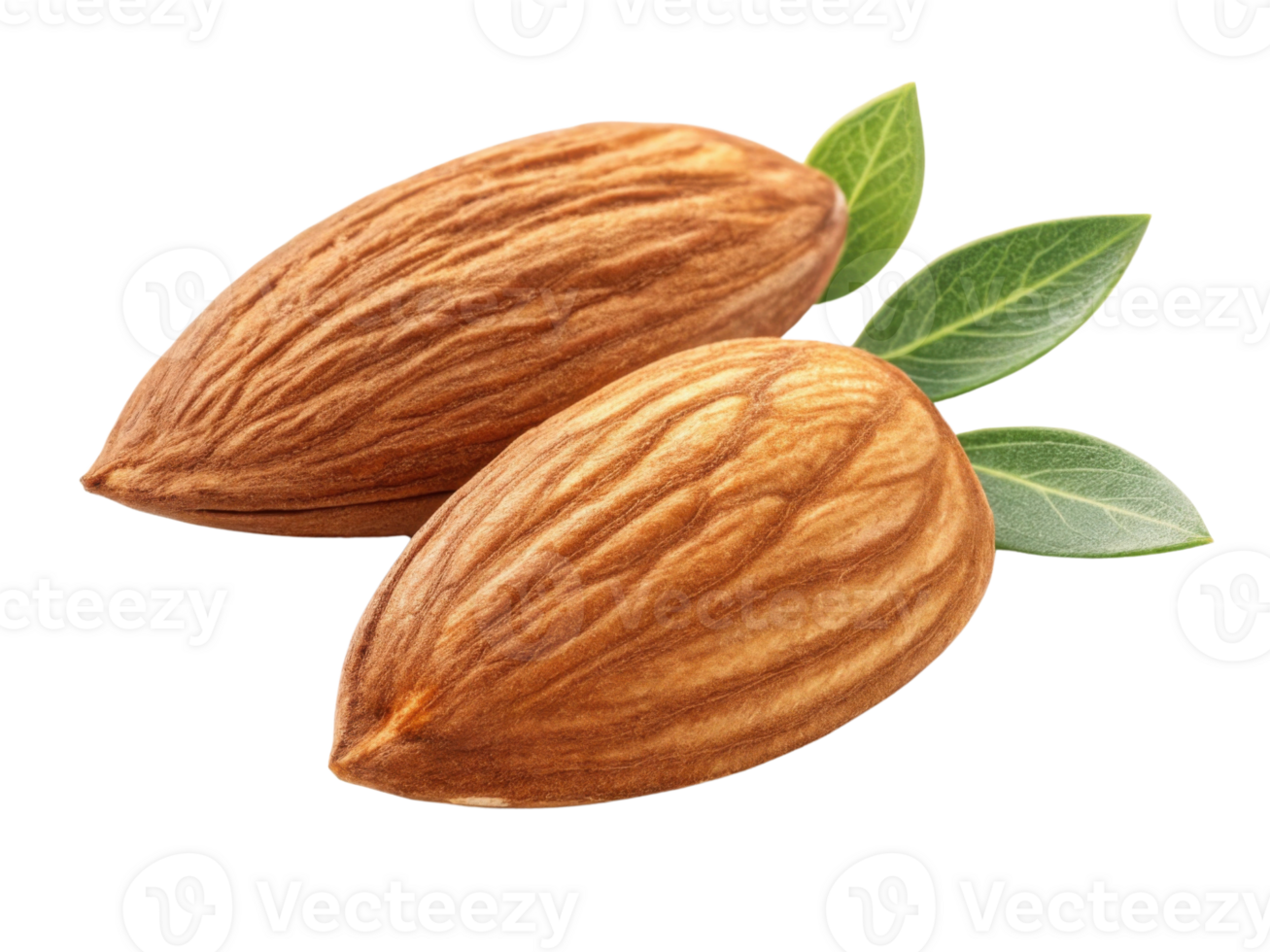 Almonds with green leaves, showcasing their natural texture and color, evoke sense of health and nutrition png