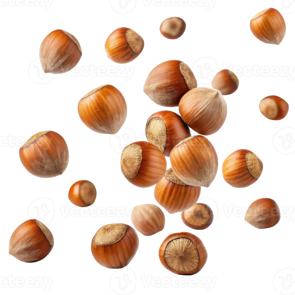 Hazelnuts are scattered in dynamic arrangement, showcasing their rich brown color and textured shells, evoking sense of natural abundance png