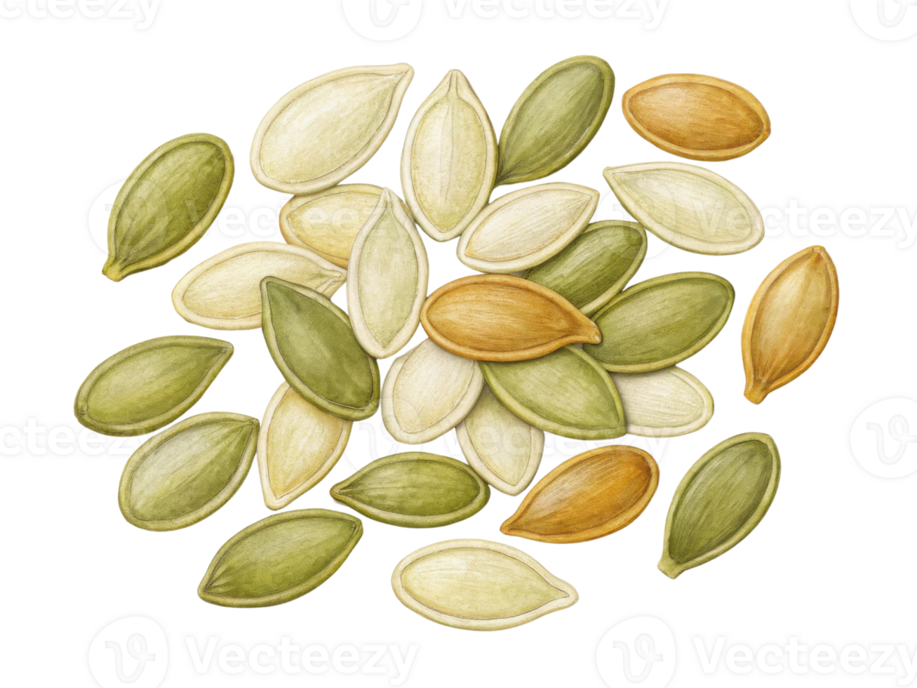 Pumpkin seeds in various colors and shapes scattered on transparency background create vibrant and natural display png