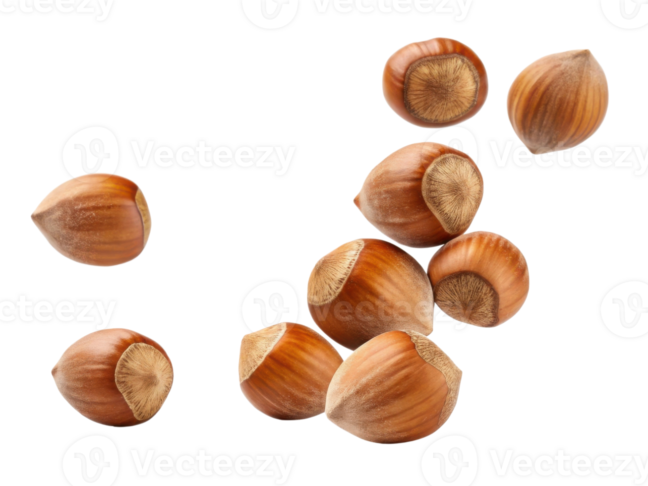 Fresh hazelnuts scattered on transparency background, showcasing their smooth, brown shells and unique shape, perfect for culinary uses png
