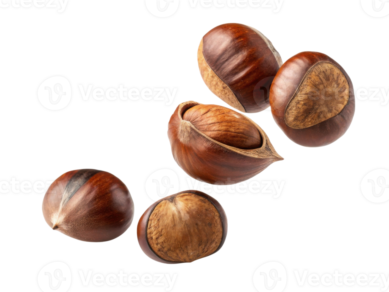 collection of shiny, brown chestnuts with smooth shells, showcasing their natural beauty and texture. Perfect for autumn themes png