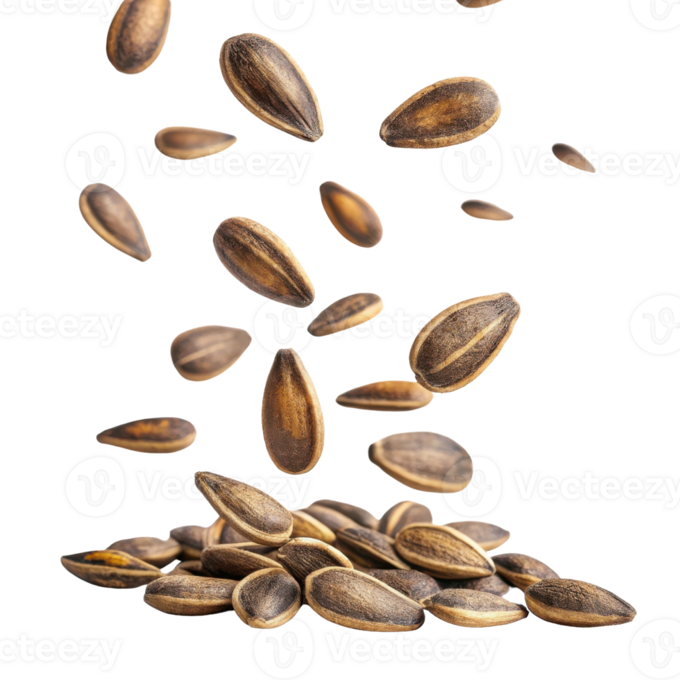 Falling seeds create dynamic and natural scene, showcasing their unique shapes and textures png