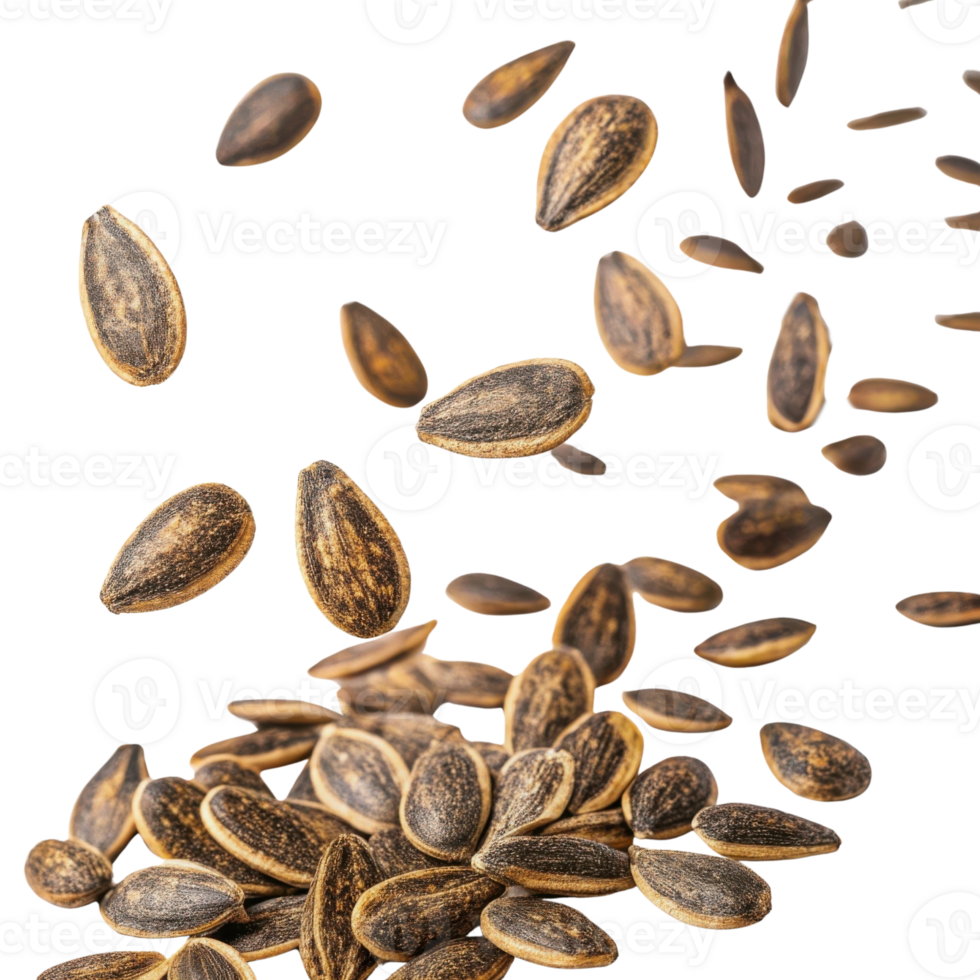 Falling seeds in various positions create dynamic and natural scene, showcasing their texture and color png