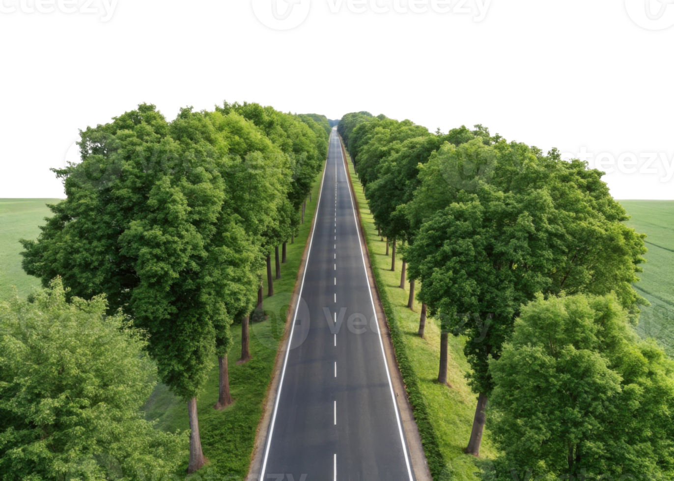 scenic view of straight road lined with lush green trees on both sides, creating peaceful atmosphere png