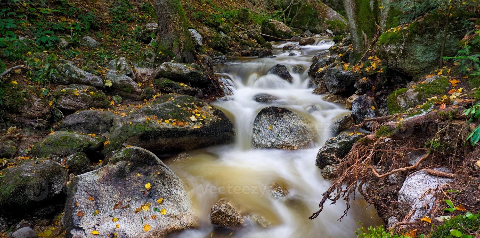 Natural beauty, Austrian gorge photo