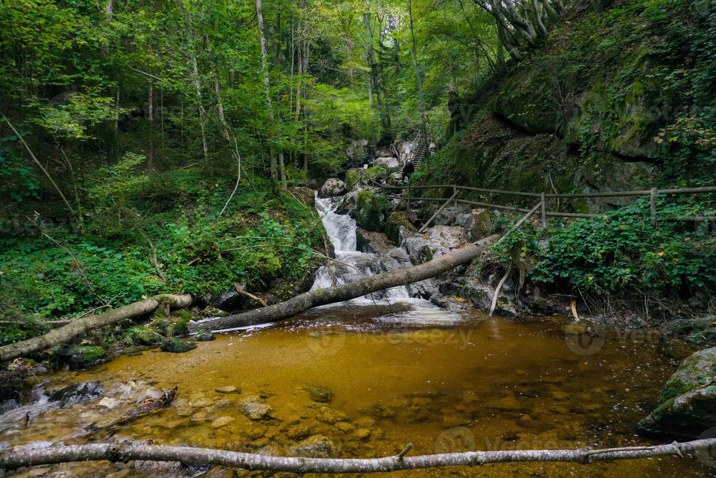 Rocky creek in nature photo