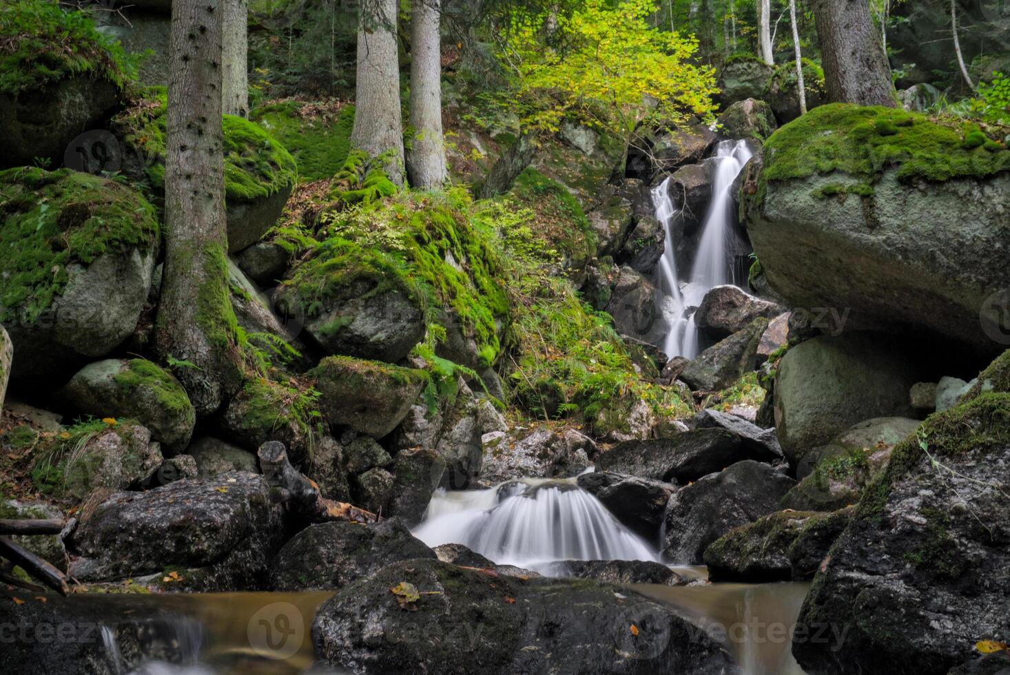 Lush green, flowing stream photo