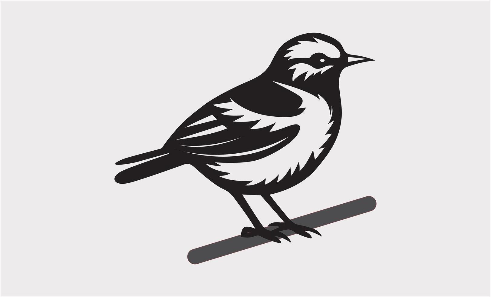 Bird on a tree branch vector