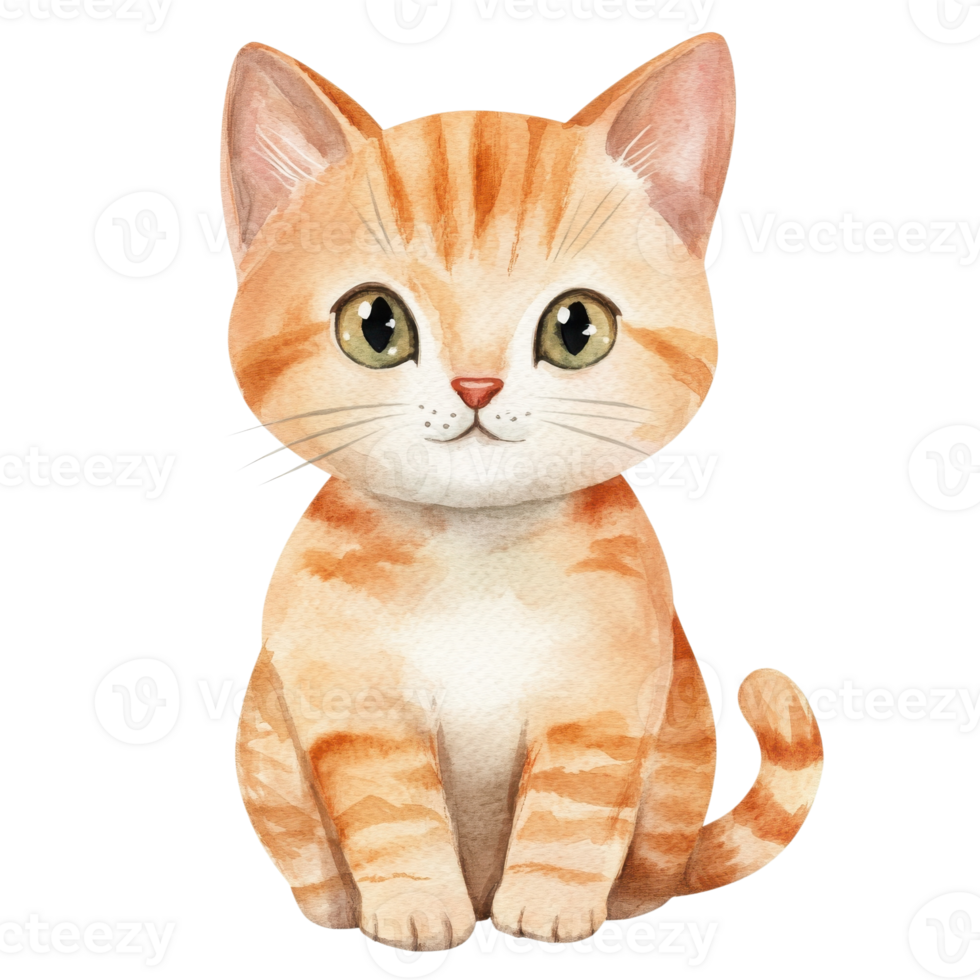 Orange tabby kitten sitting on transparent background. png