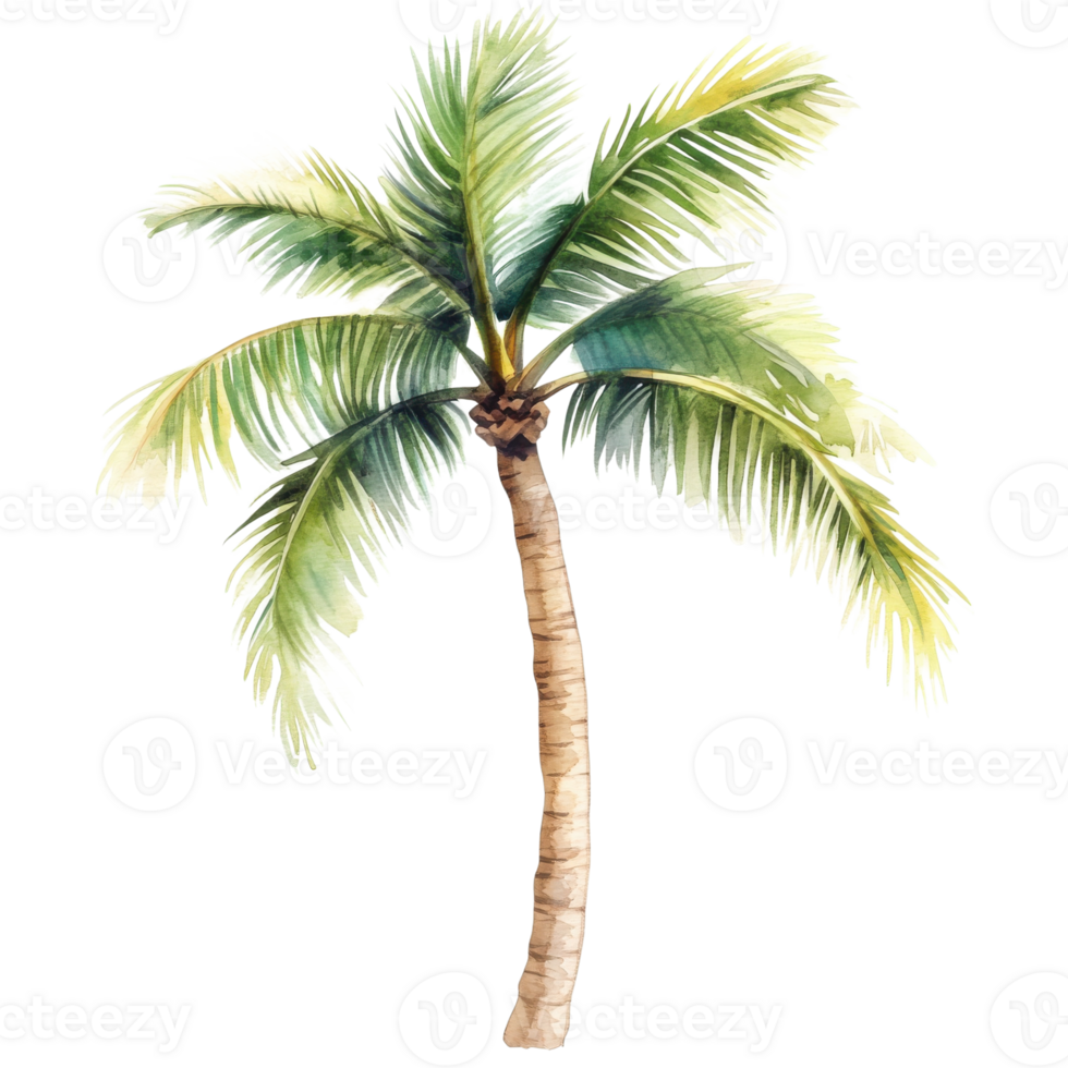 A watercolor palm tree art on transparent background. png