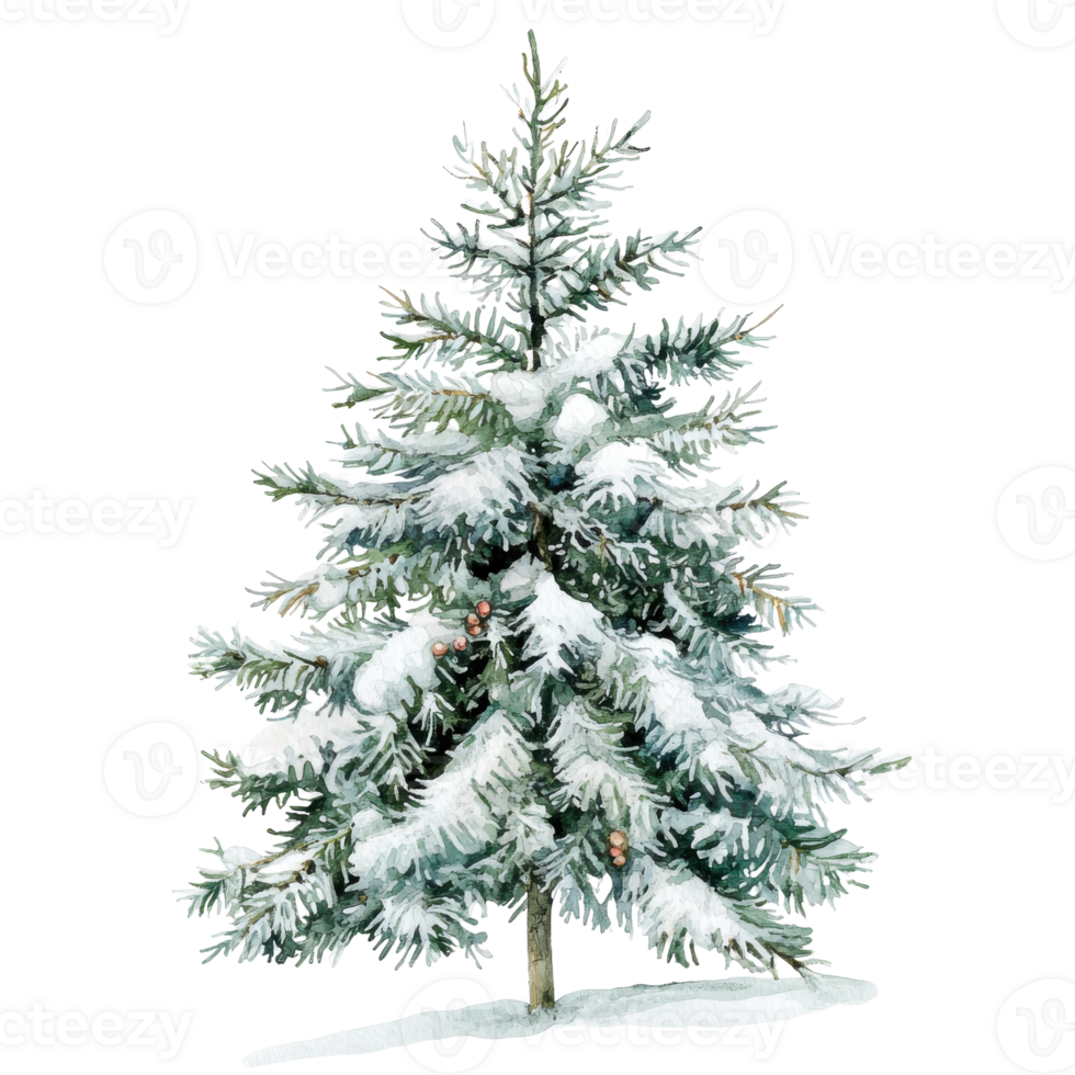 Snowy christmas tree isolated on transparent background. png