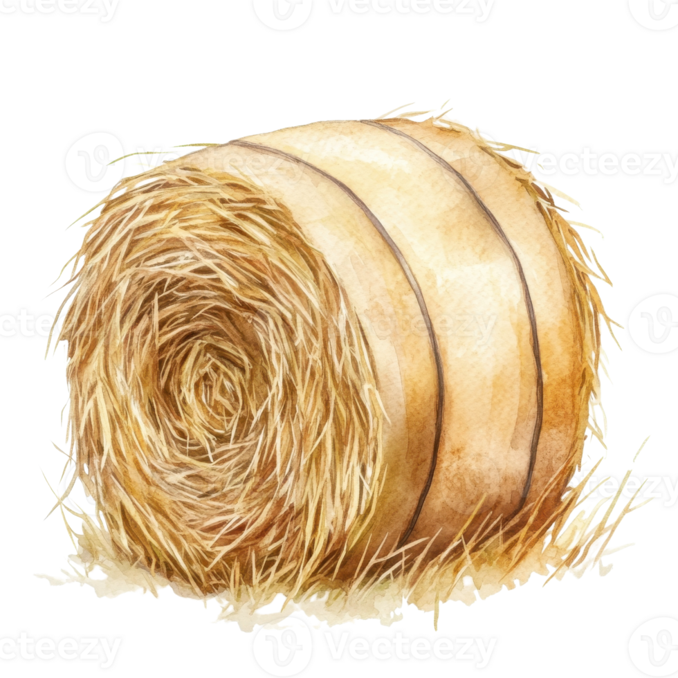 A watercolor hay bale roll on transparent background. png