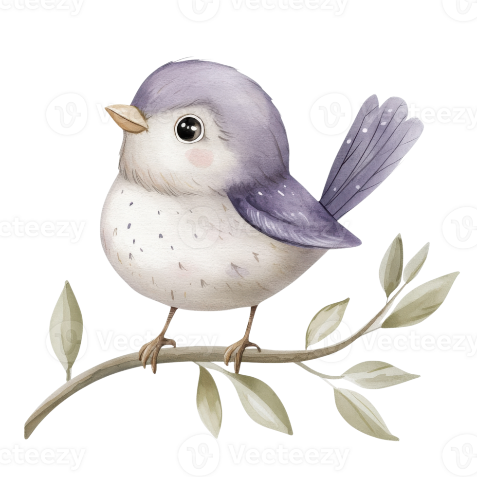 A bird on branch art on transparent background. png