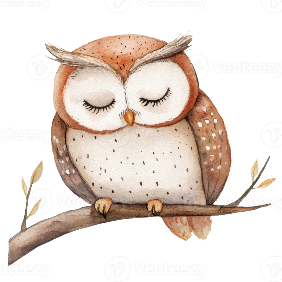 Sleeping owl on a branch on transparent background. png
