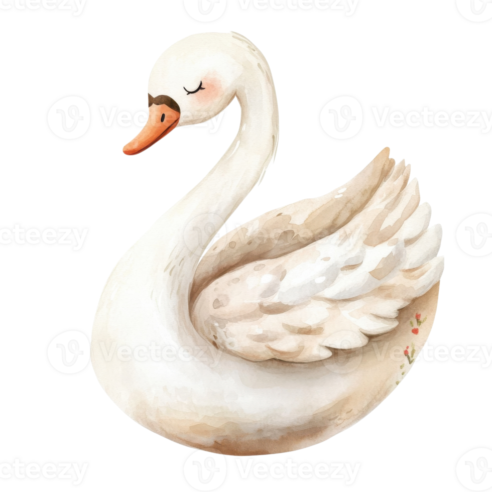 A serene swan illustration on transparent background. png
